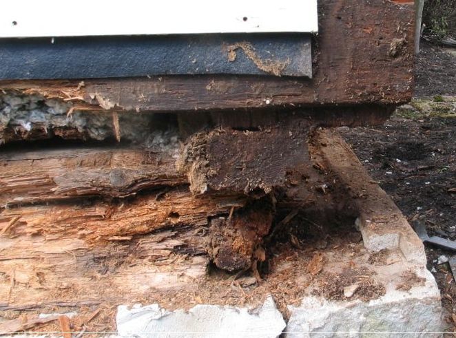 Sill and Floor Joist Replacement